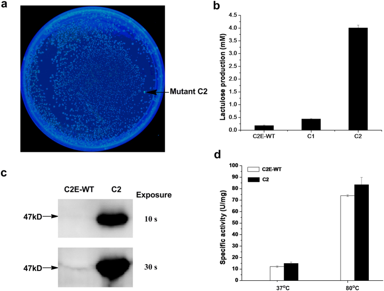 Figure 4