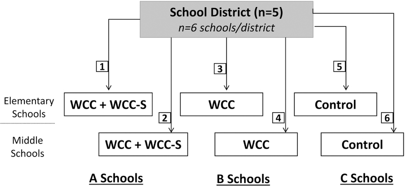 Fig. 1.