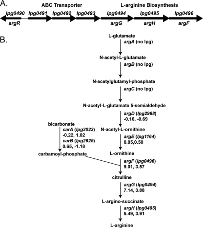 FIG. 5.