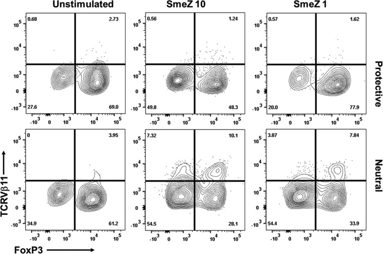 FIG 6