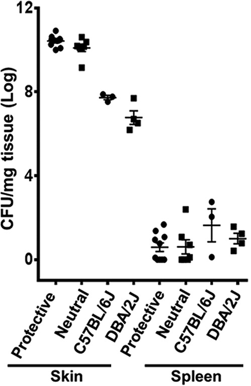 FIG 1