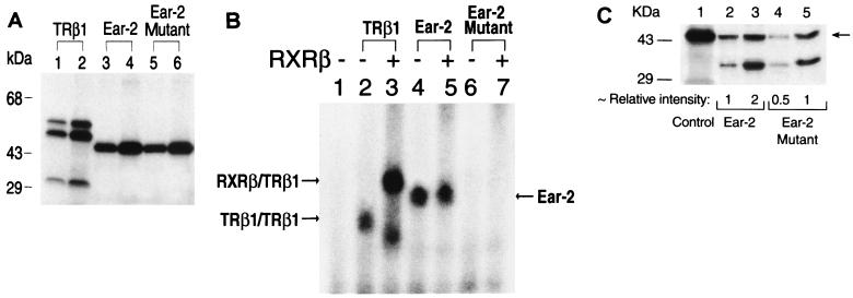 FIG. 8