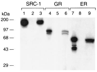 FIG. 11