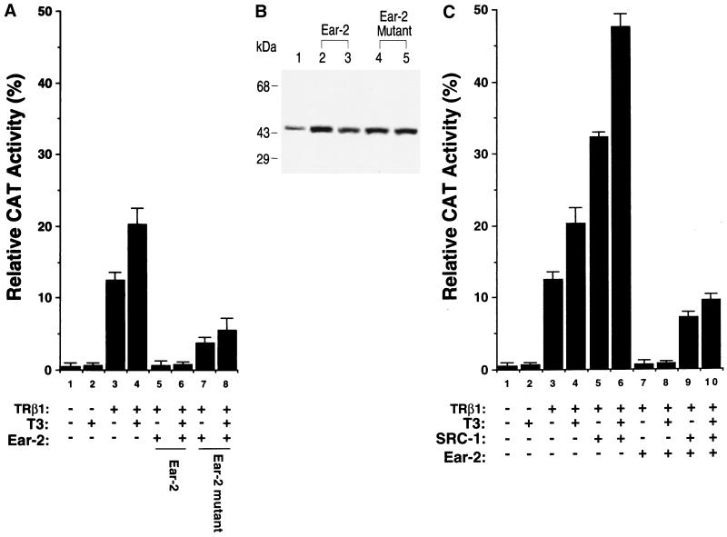 FIG. 10