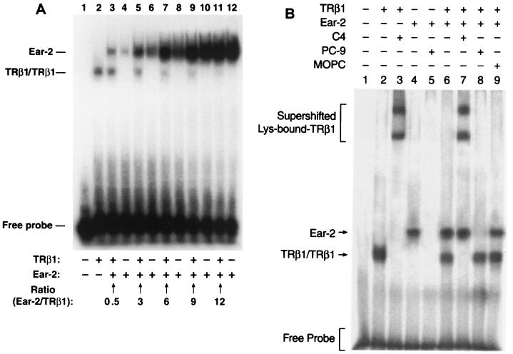 FIG. 5