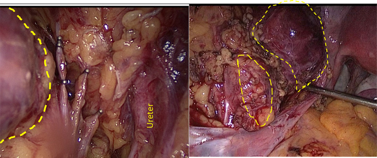 Fig. 4