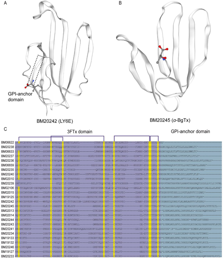 Figure 4