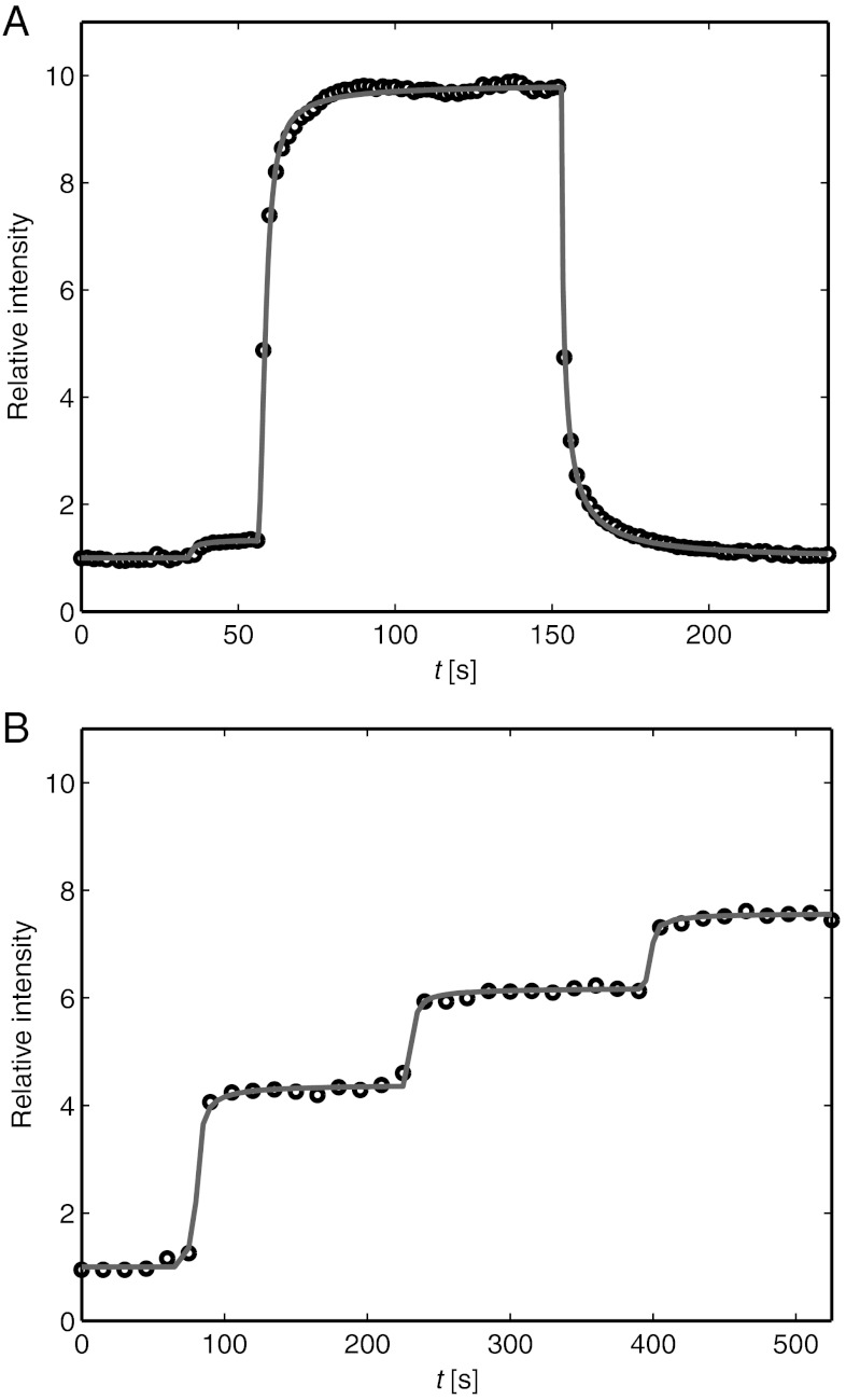 Fig. 5.