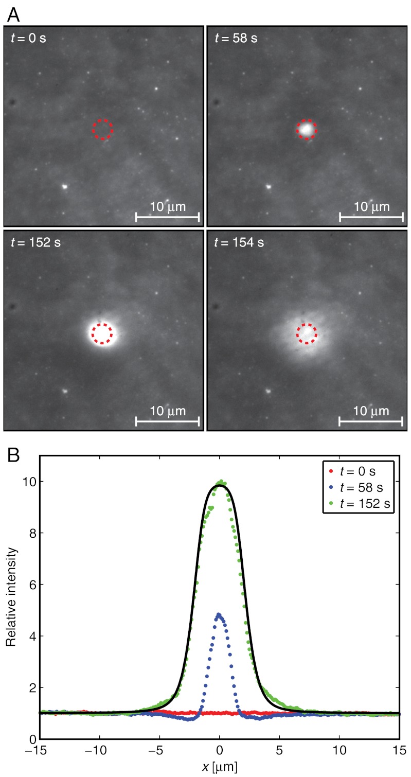 Fig. 3.