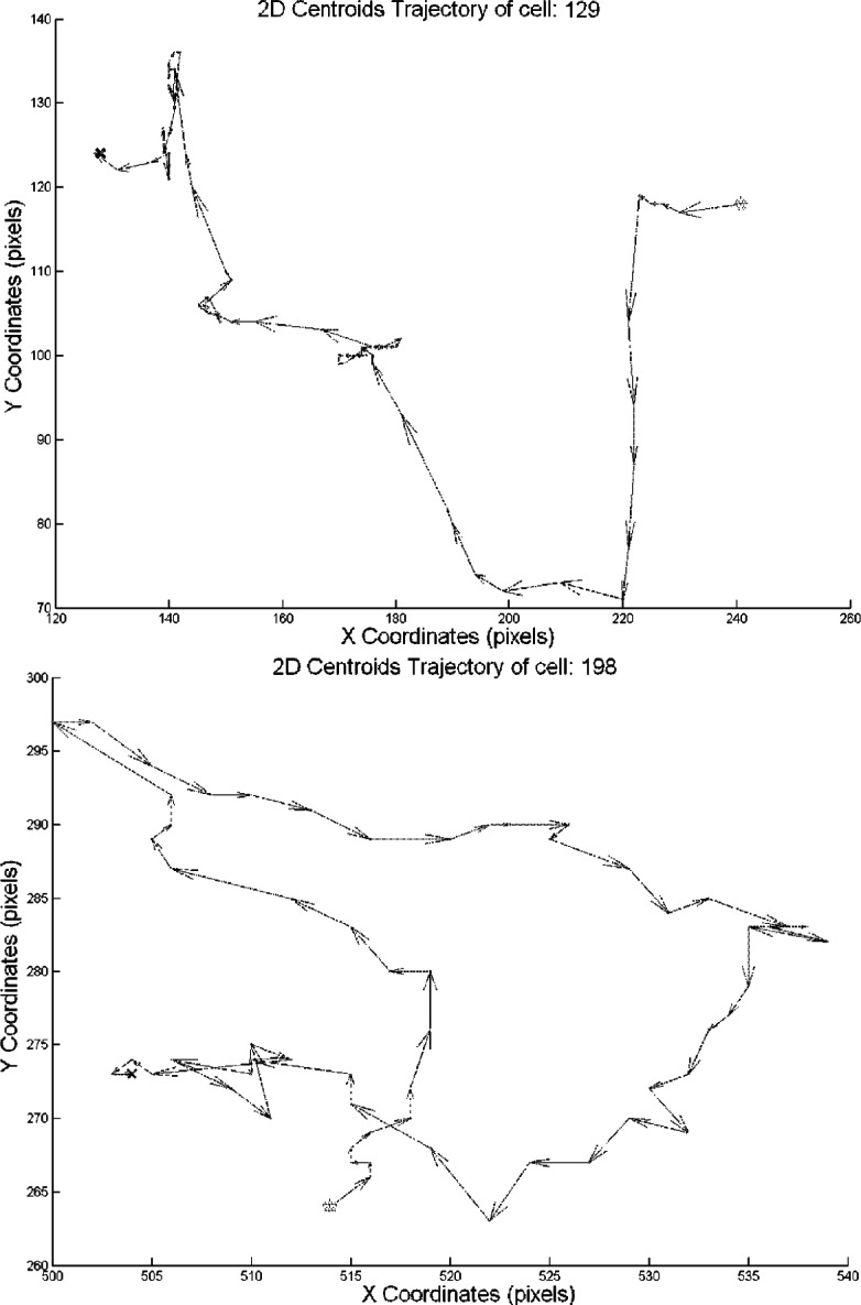 Fig. 8