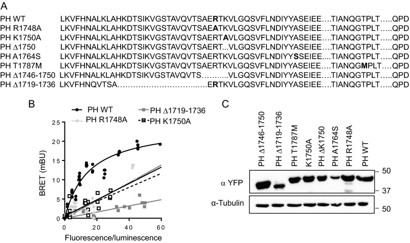 Fig. S7.