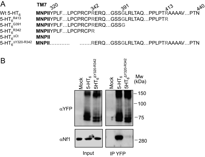 Fig. S4.