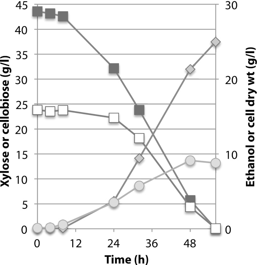 Fig 3