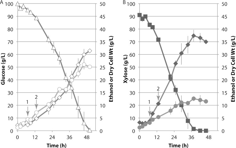 Fig 2