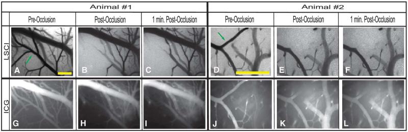 FIGURE 3