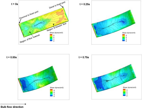 Fig. 11