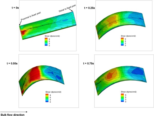 Fig. 10