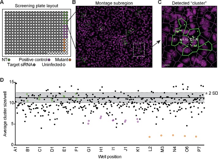 FIGURE 1: