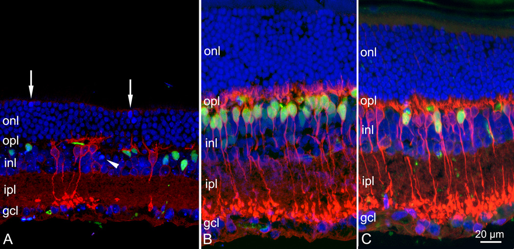 Figure 10