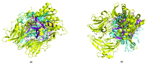 Supplementary Figure 1. 