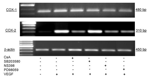 Figure 16