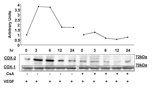 Figure 18