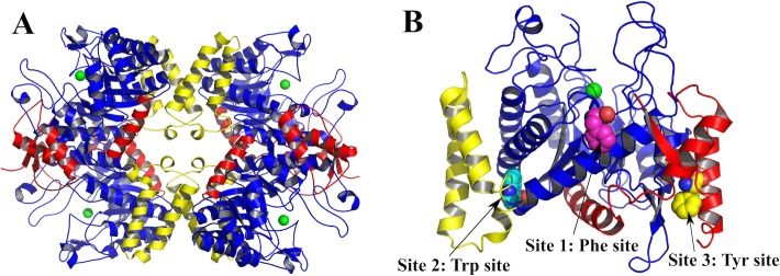 Fig 1