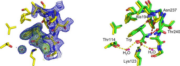 Fig 5