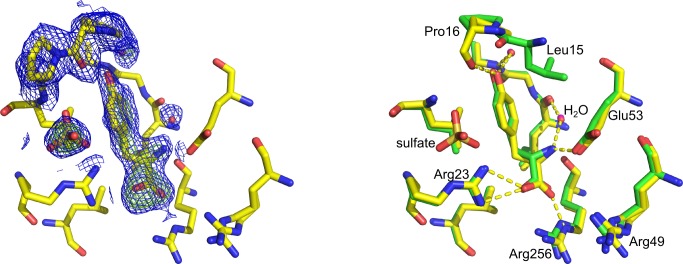 Fig 6