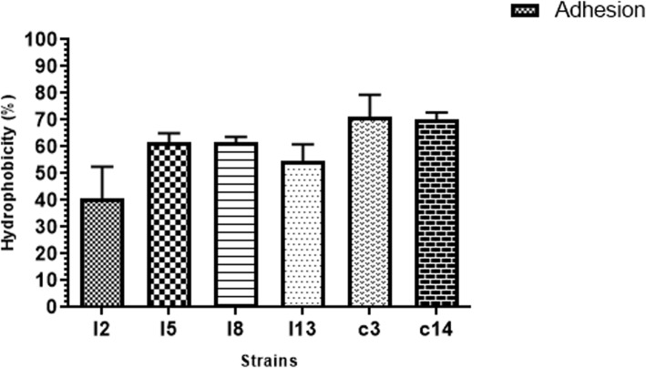 Fig. 6