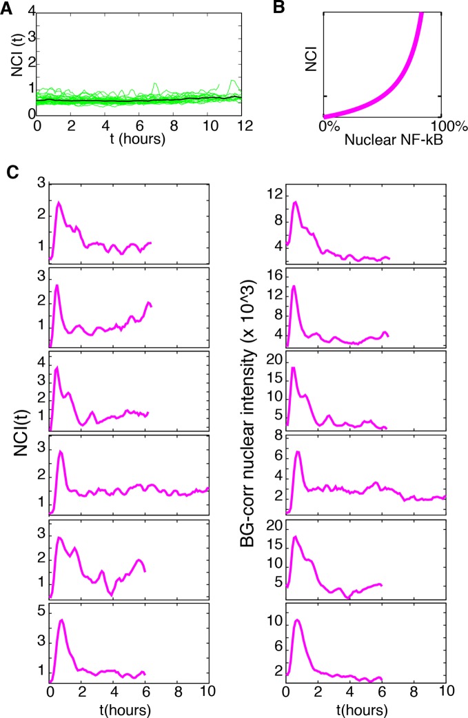 Figure 1—figure supplement 9.