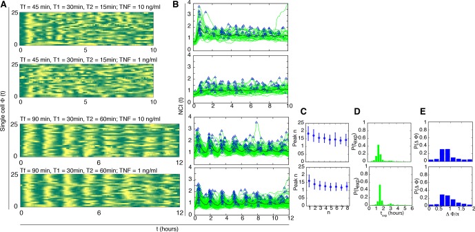 Figure 3—figure supplement 3.