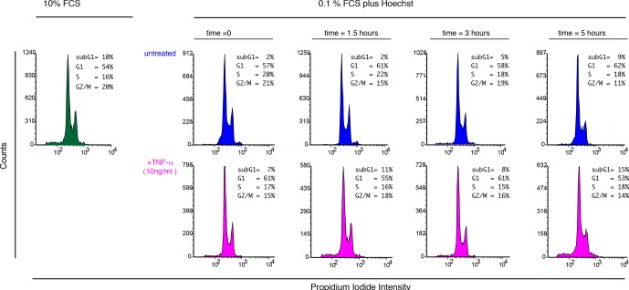 Figure 1—figure supplement 11.