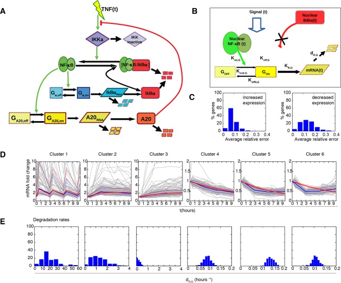 Figure 6—figure supplement 7.