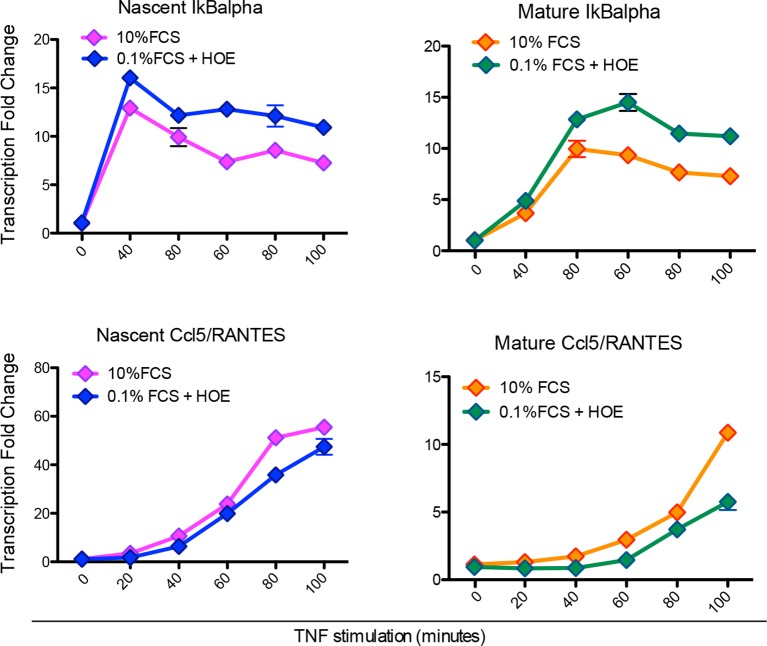 Figure 5—figure supplement 2.