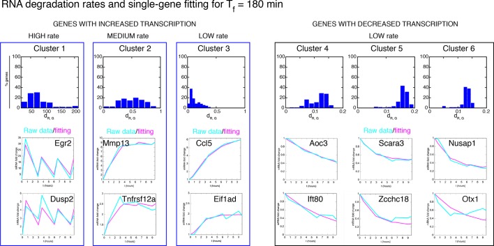 Figure 6—figure supplement 6.