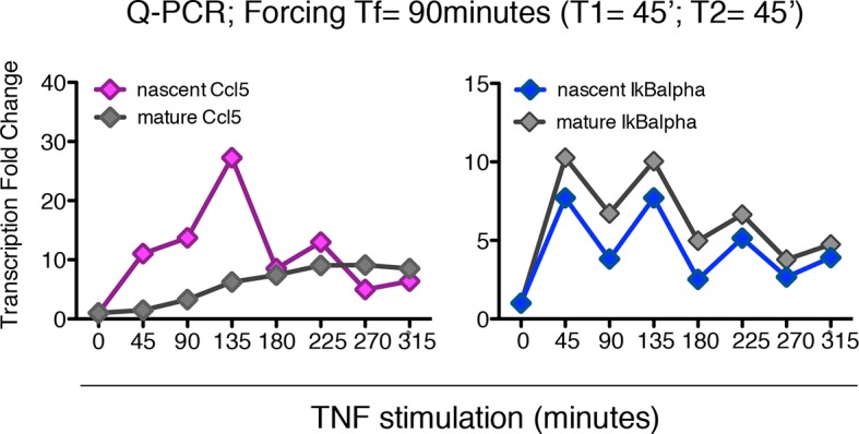 Figure 7—figure supplement 1.