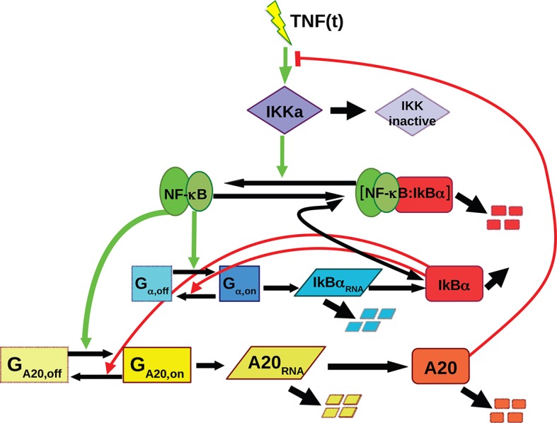 Figure 1—figure supplement 4.