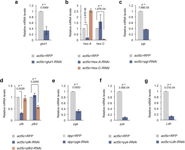 Figure 1—figure supplement 2.