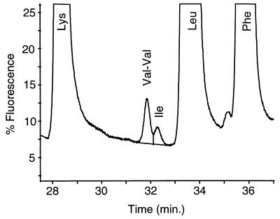 FIG. 1