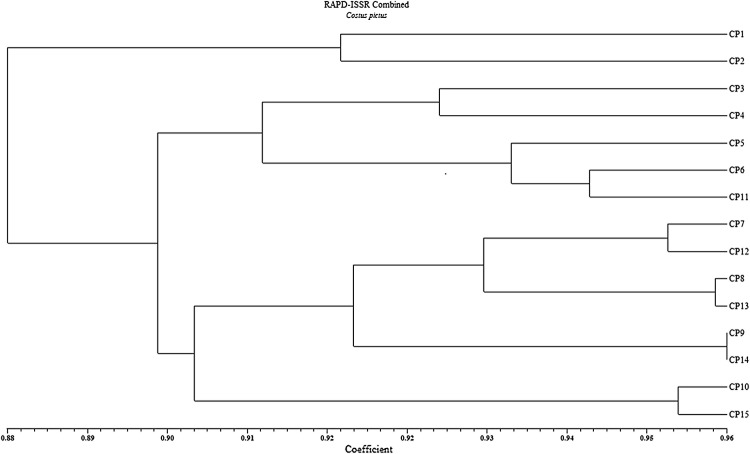 Fig. 4