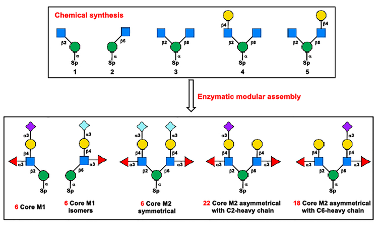 Scheme 2.