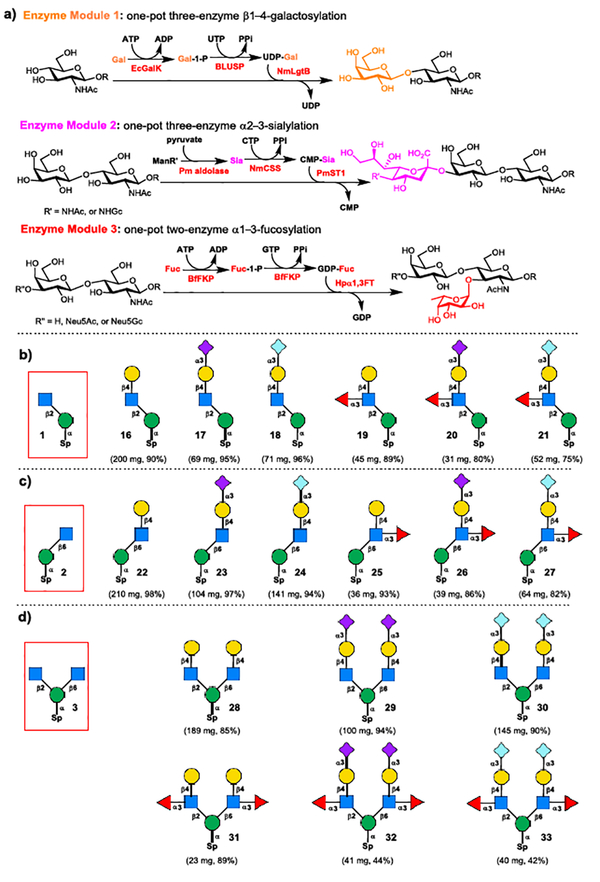 Scheme 4.