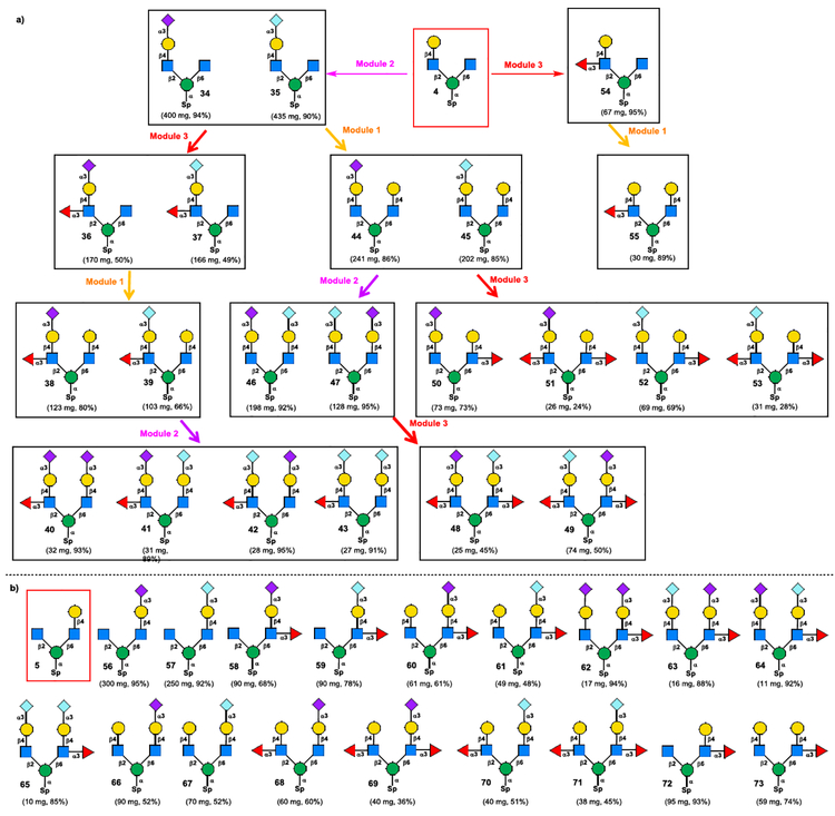 Scheme 5.