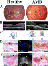 Fig. 2.