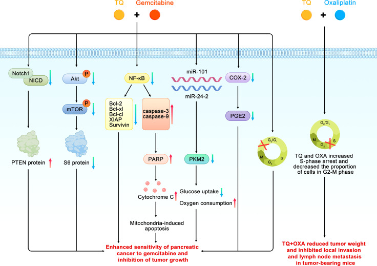 Figure 5