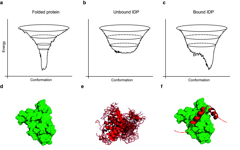 Fig. 3