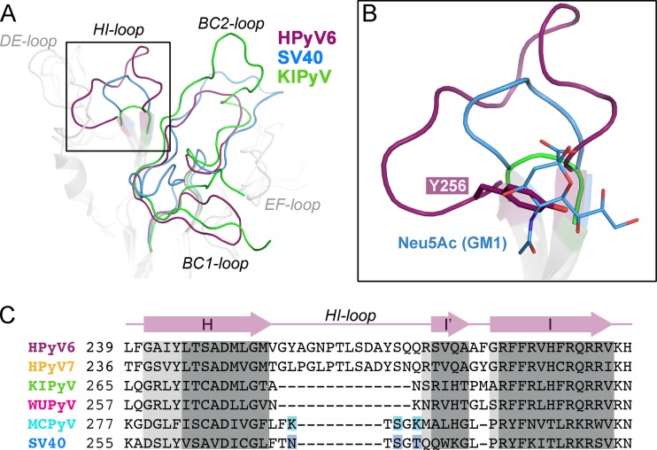 FIG 2