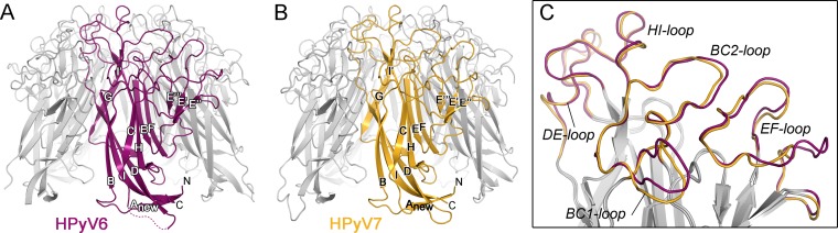 FIG 1