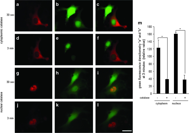 FIG. 9.